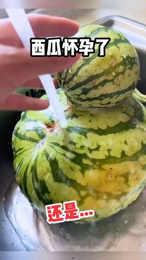 买瓜吃瓜搞笑视频