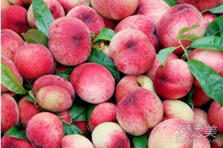 吃桃子不能吃瓜,探寻吃桃子与不吃瓜的饮食智慧