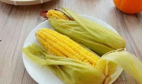 玉米哥吃抖瓜,趣味横生美食盛宴