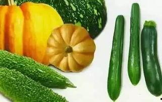 墨墨吃瓜后续,揭秘娱乐圈背后的秘密与真相