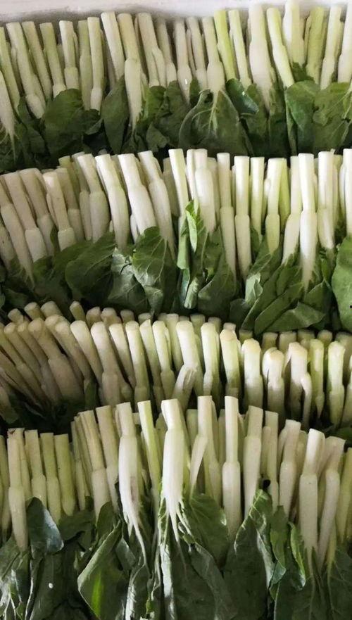 团播娱乐吃瓜,揭秘娱乐圈吃瓜背后的真相