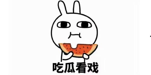 吃瓜文案兜儿,吃瓜群众兜儿带你揭秘娱乐圈那些事儿