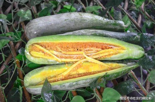 网红吃瓜扬中,揭秘网络红人背后的故事