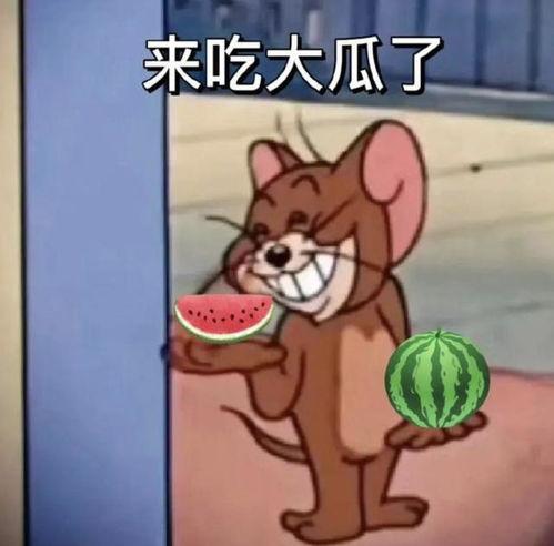 关于吃瓜段子,那些让人捧腹的吃瓜段子