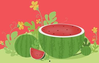 保护孩子安全吃瓜,儿童食品安全攻略