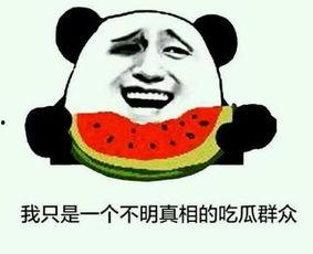 吃瓜打界,揭秘娱乐圈背后的真实故事