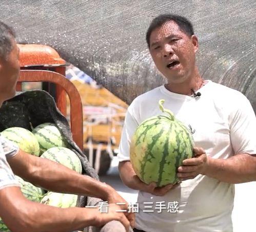 吃瓜打界,揭秘娱乐圈背后的真实故事