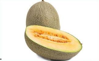 哈密瓜可以怎吃,探索美味新境界