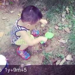 挖土瓜怎么吃,解锁美味新体验