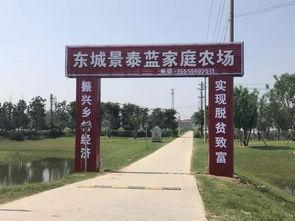 界首吃瓜打架,吃瓜群众变身“打架达人”