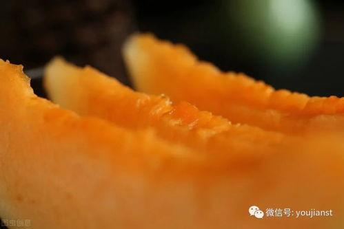 吃瓜能吃蜜瓜吗为什么,吃瓜也能吃出蜜瓜的甜蜜滋味？揭秘瓜果的独特魅力