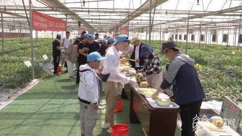 南京上午吃瓜,瓜果飘香，市民共享悠闲时光