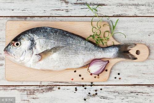 小海棠鱼吃瓜视频,趣味横生的水下喜剧