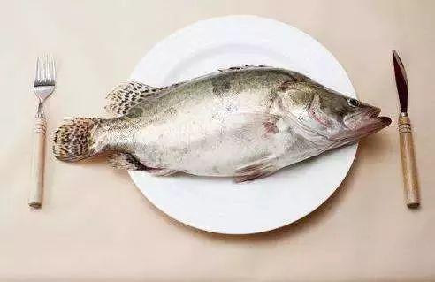 小海棠鱼吃瓜视频,趣味横生的水下喜剧