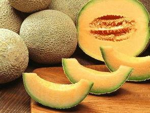 吃瓜论法,吃瓜群众视角下的娱乐圈风云录