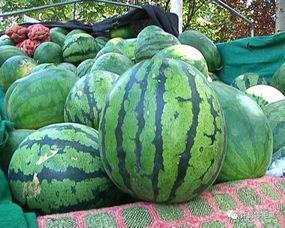 青皮大圆瓜怎么吃